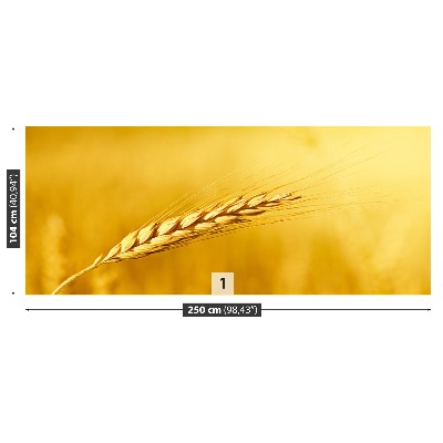 Wallpaper Ear of wheat