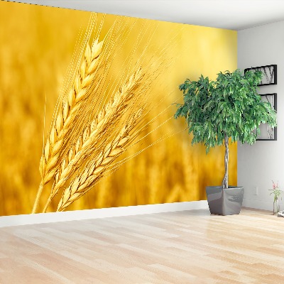 Wallpaper Ear of wheat