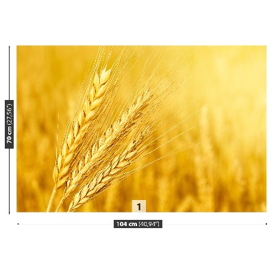 Wallpaper Ear of wheat