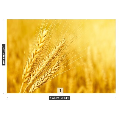 Wallpaper Ear of wheat