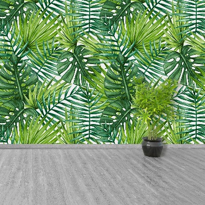 Wallpaper Palm leaves