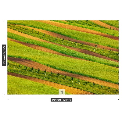 Wallpaper Field ribbons