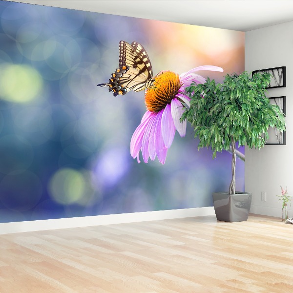 Wallpaper Echinacea butterfly