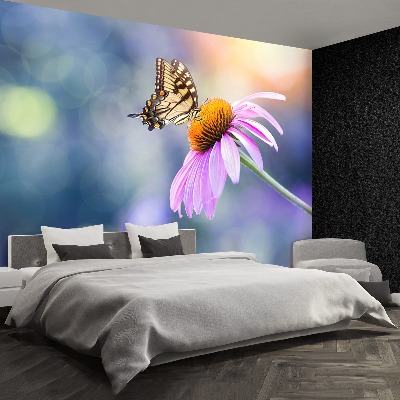 Wallpaper Echinacea butterfly