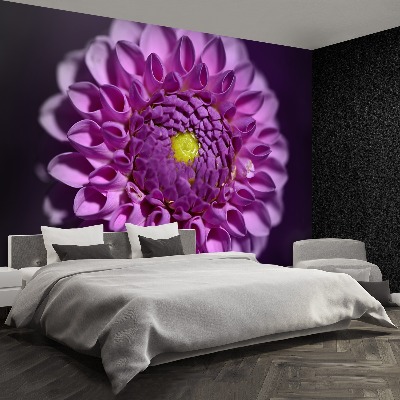 Wallpaper Dahlia pink