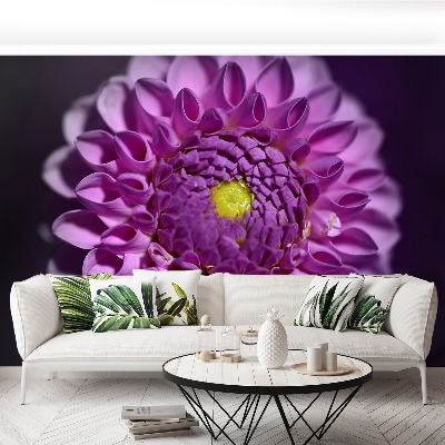 Wallpaper Dahlia pink