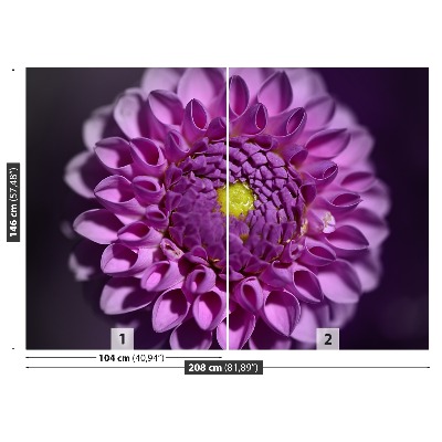 Wallpaper Dahlia pink