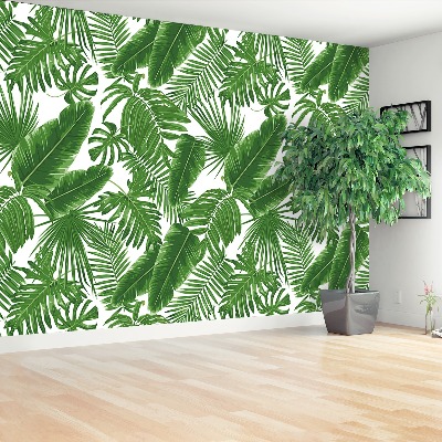 Wallpaper Tropical leaves