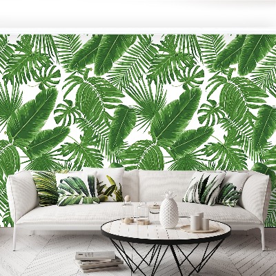 Wallpaper Tropical leaves