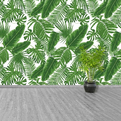 Wallpaper Tropical leaves