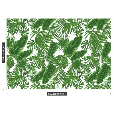 Wallpaper Tropical leaves