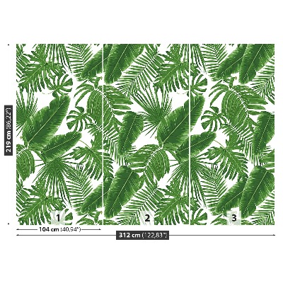 Wallpaper Tropical leaves