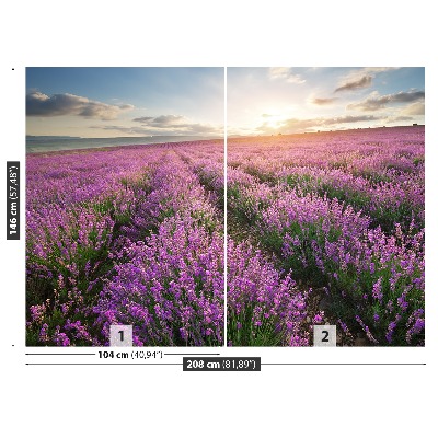 Wallpaper Lavender meadow