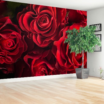 Wallpaper Red roses