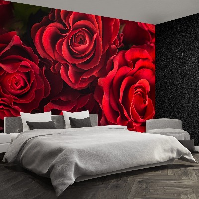 Wallpaper Red roses