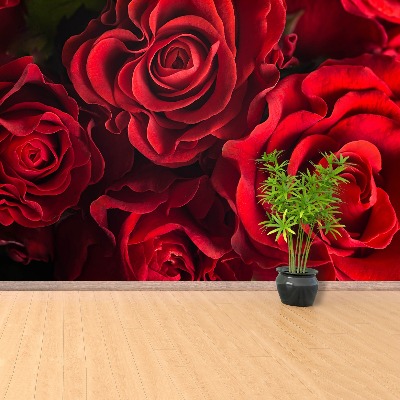 Wallpaper Red roses