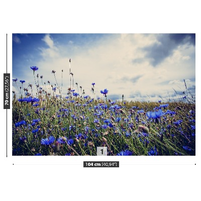 Wallpaper Cornflowers