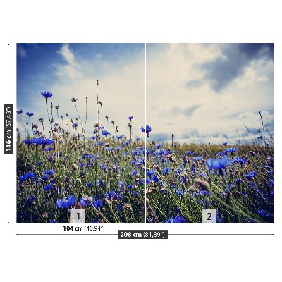 Wallpaper Cornflowers