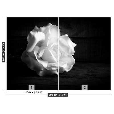 Wallpaper White rose