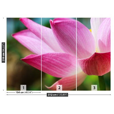 Wallpaper Pink lotus