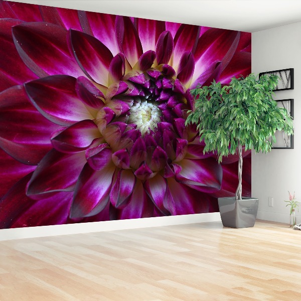 Wallpaper Aster purple