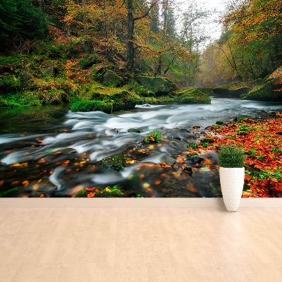 Wallpaper Autumn stream