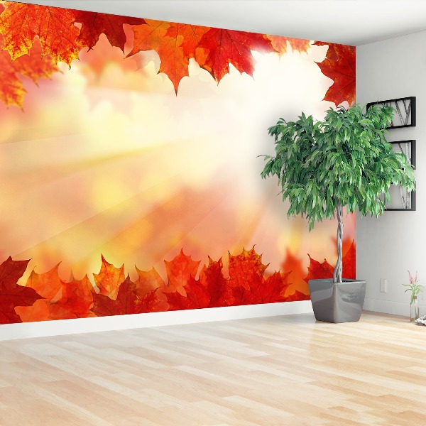 Wallpaper Maple leaves