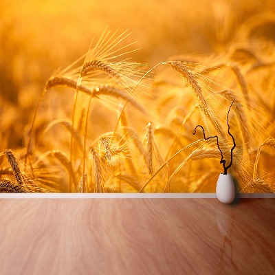 Wallpaper Wheat field