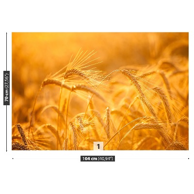 Wallpaper Wheat field