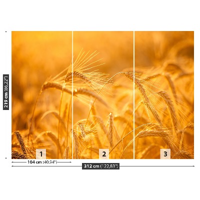 Wallpaper Wheat field