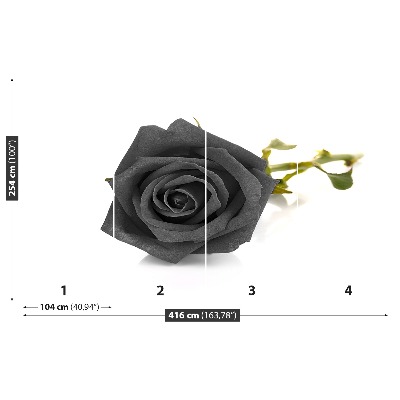 Wallpaper Black rose