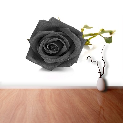 Wallpaper Black rose