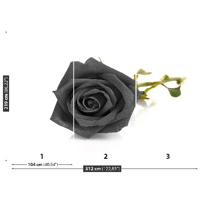 Wallpaper Black rose