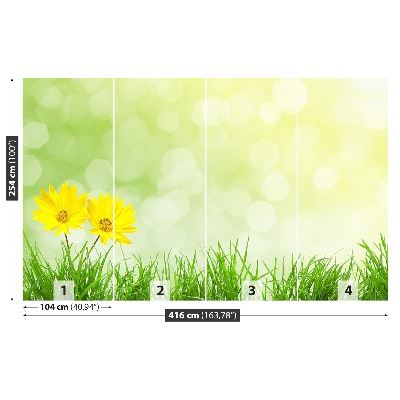 Wallpaper Flowers grass