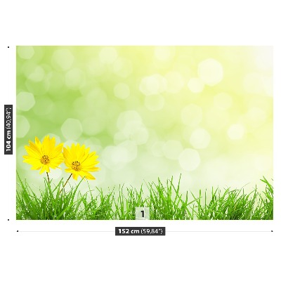 Wallpaper Flowers grass