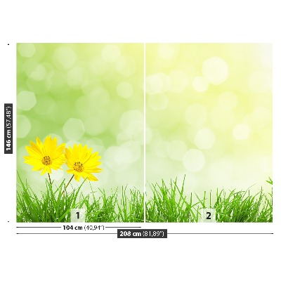 Wallpaper Flowers grass