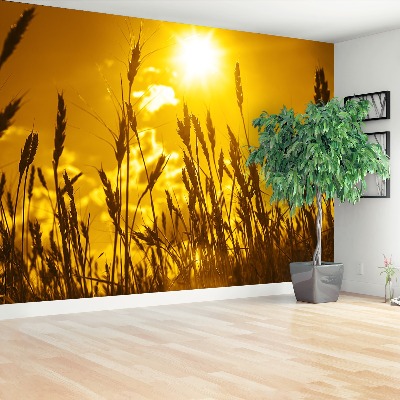 Wallpaper Wheat field