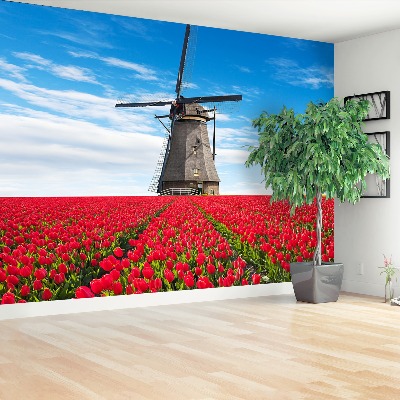 Wallpaper Windmill tulips