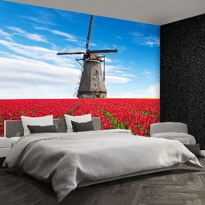 Wallpaper Windmill tulips