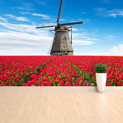 Wallpaper Windmill tulips