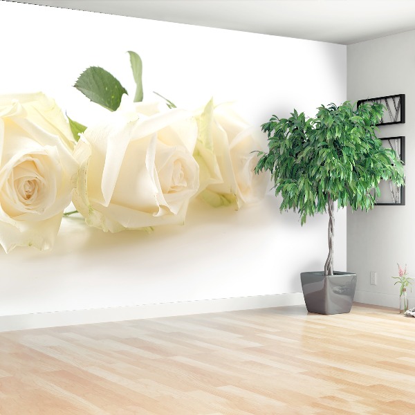 Wallpaper White roses