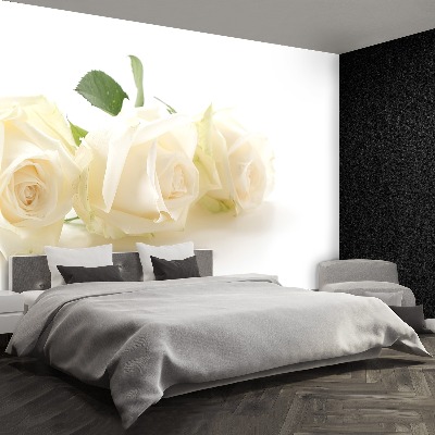 Wallpaper White roses