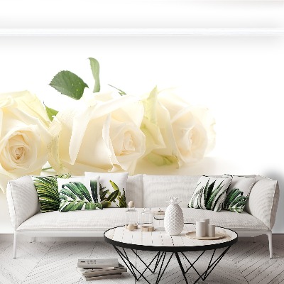 Wallpaper White roses