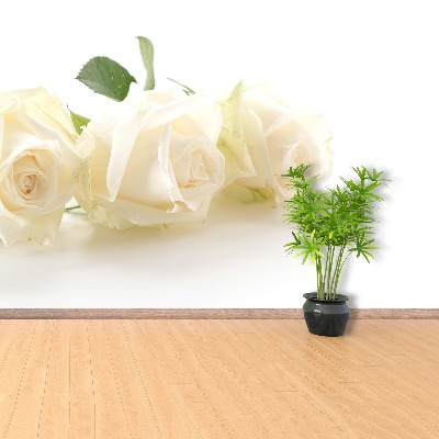 Wallpaper White roses