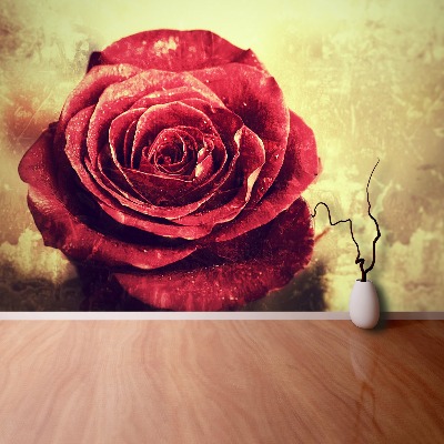 Wallpaper Red rose