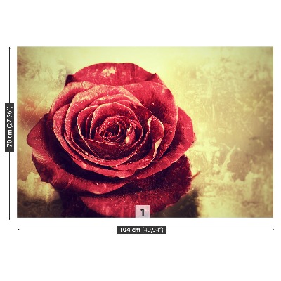 Wallpaper Red rose