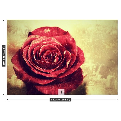 Wallpaper Red rose