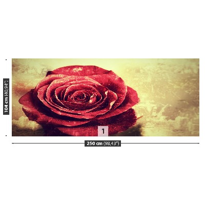 Wallpaper Red rose