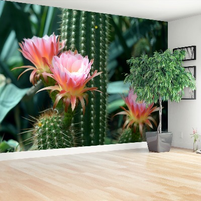 Wallpaper Cactus flower