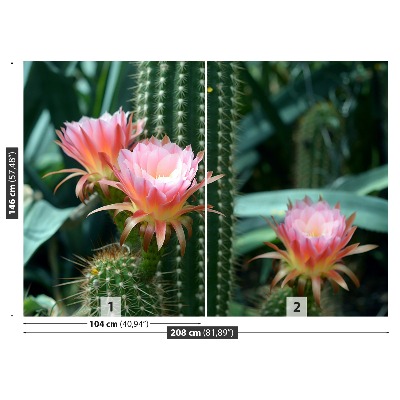 Wallpaper Cactus flower